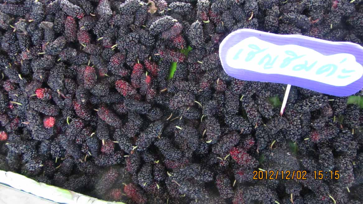 Kamnan_Chul 07.JPG 152.4K